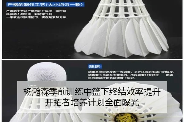 杨瀚森季前训练中篮下终结效率提升 开拓者培养计划全面曝光 | kaiyun