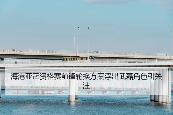 海港亚冠资格赛前锋轮换方案浮出武磊角色引关注 - kaiyun